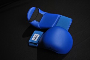 Tokon Martial Arts Blue WKF Gloves