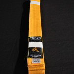 Yellow Belt 1