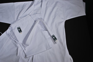 Tokon Kodomo Karate