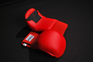 Tokon Martial Arts Red Gloves